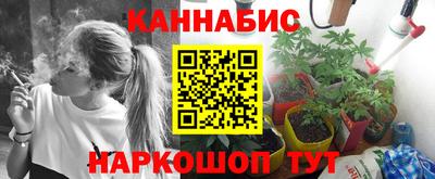 крисы Кулебаки