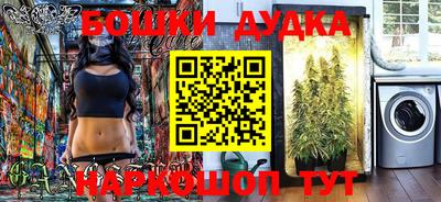 крисы Кулебаки
