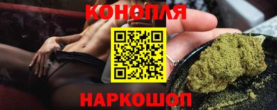 крисы Кулебаки