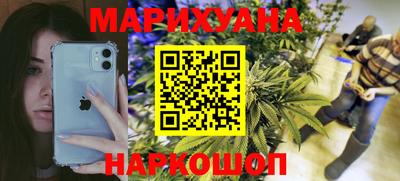 крисы Кулебаки