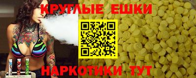 крисы Кулебаки