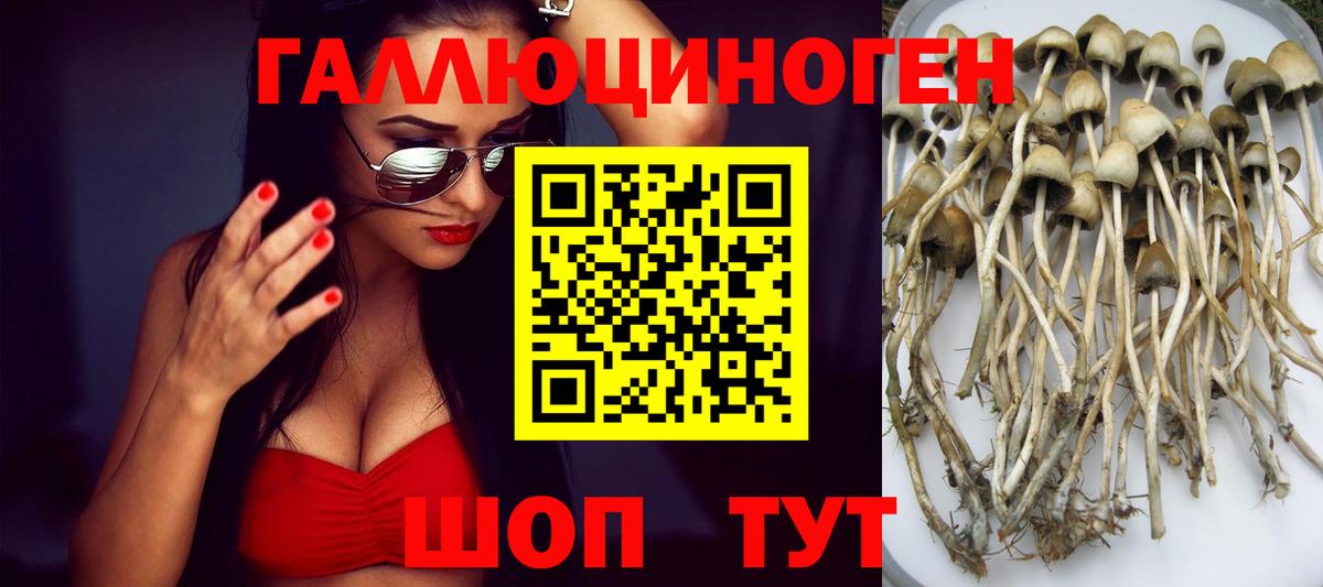 Ишим  Галлюциногенные грибы ЛСД  Вход с VPN 