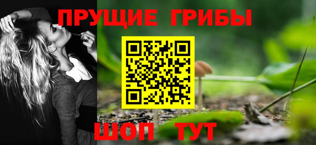 Псилоцибиновые грибы мухоморы Ишим